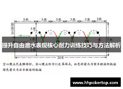 提升自由潜水表现核心耐力训练技巧与方法解析